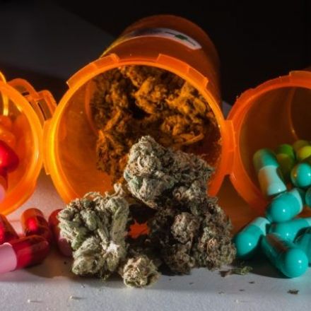 Study: Majority Of Chronic Pain Patients Replace Opioids With Cannabis