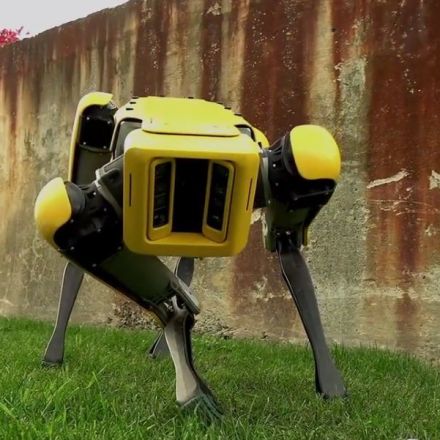 9 robot animals built from nature's best-kept secrets.