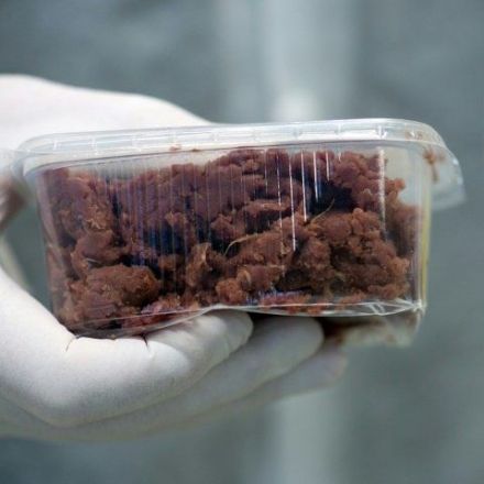 US paves way to get 'lab meat' on plates