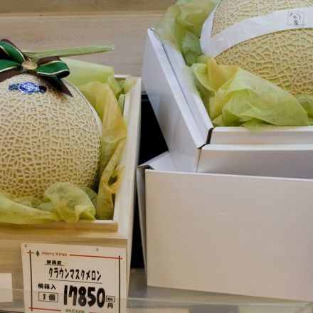 Japanese Melons Fetch Record-Breaking $29,000 at Auction
