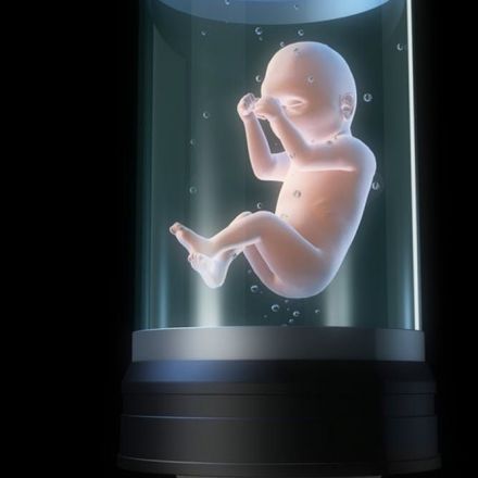 We may one day grow babies outside the womb, but there are many things to consider first
