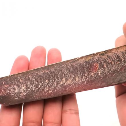 Nothing to See Here, Just a Functional Knife Made of Fish