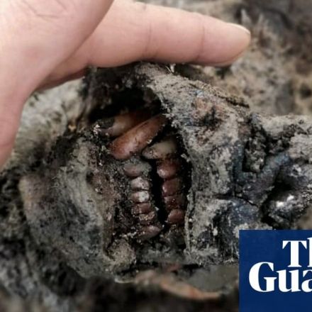 Remains of ice age cave bear found preserved in Russian Arctic