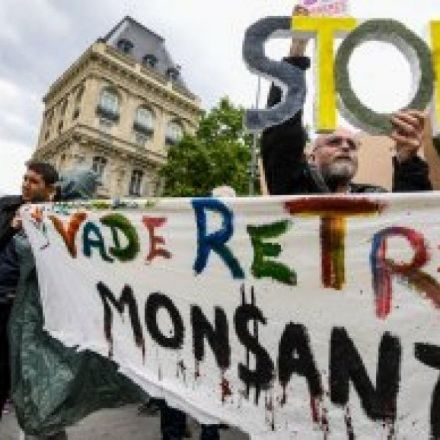 Thousands gather in France, worldwide for annual march against Monsanto