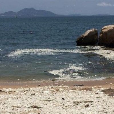 Beaches closed after palm oil spill