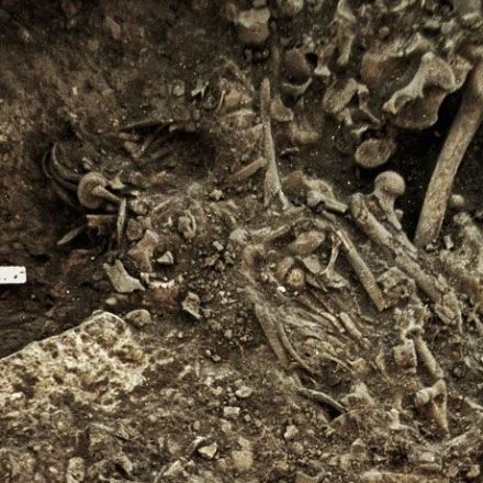 A 5,000-year-old mass grave harbors the oldest plague bacteria ever found