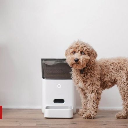 Pets 'go hungry' after smart feeder fails
