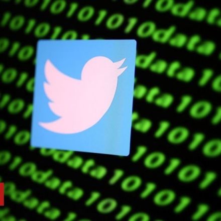 Twitter account deletions on 'pause' after outcry