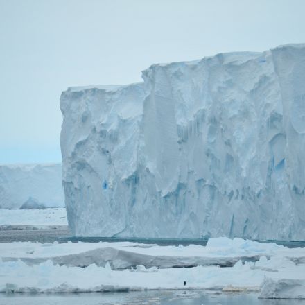 Change in future climate due to Antarctic meltwater