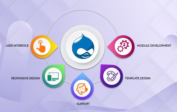 Drupal Web Development Company in India | SoftProdigy<br />
