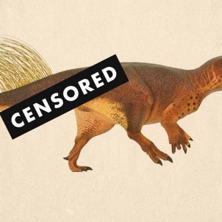 We Finally Know What a Dinosaur’s Butthole Looks Like