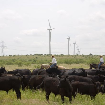 Clean Energy Is Thriving in Texas. So Why Are State Republicans Trying to Stifle It?