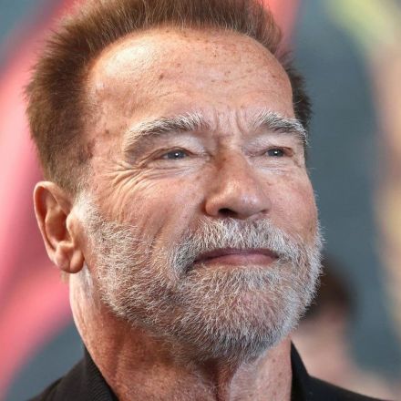 Netflix Hires Arnold Schwarzenegger as Chief Action Officer