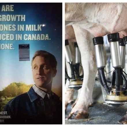 Canadian Dairy Farmers Forced To Remove Lying Adverts Claiming Milk Contains No Growth Hormones