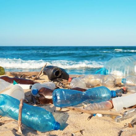 Pollution breakthrough as new enzyme helps ‘eat’ plastic used in drinks bottles