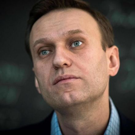 Russian opposition leader freed after arrest during protests