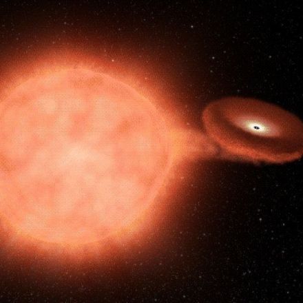 Study witnesses first moments of star dying in finest detail