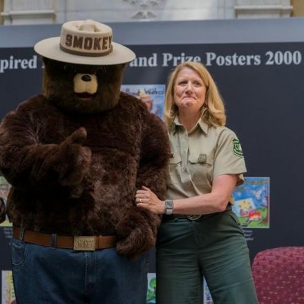 U.S. forest firefighting icon Smokey Bear turns 75