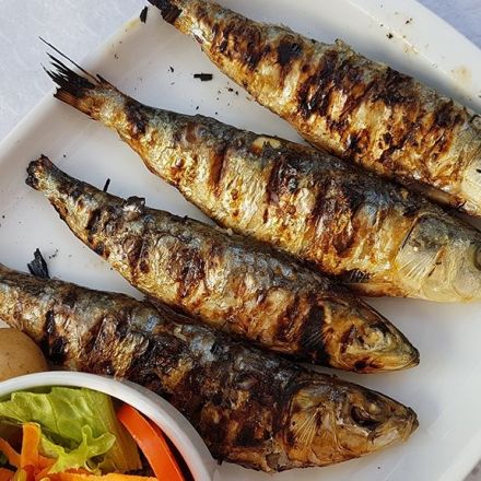 Eating sardines regularly helps prevent type 2 diabetes