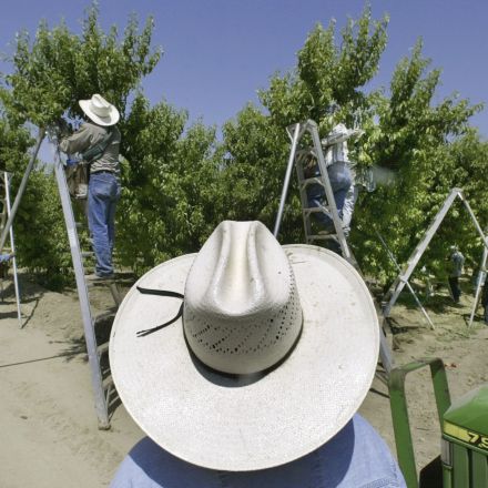 Pesticide caused kids' brain damage, California lawsuits say