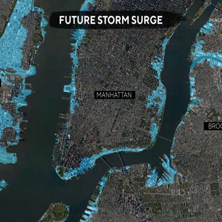 Sea levels are rising — and it's going to get worse. Here's how some communities are adapting