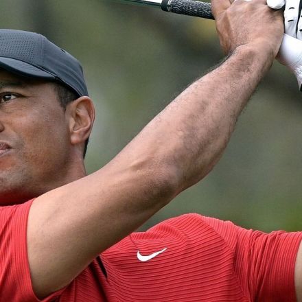 Tiger OK with 'reality' he won't be same player