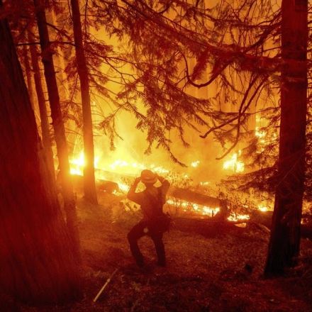 When hotter and drier means more – but eventually less – wildfire