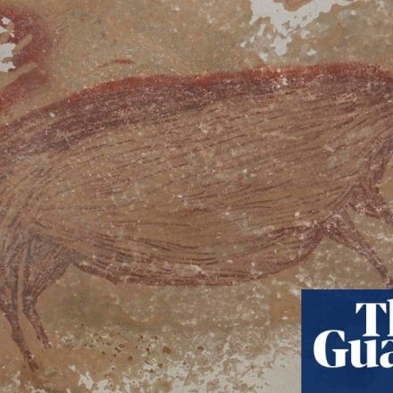 World's oldest known cave painting found in Indonesia
