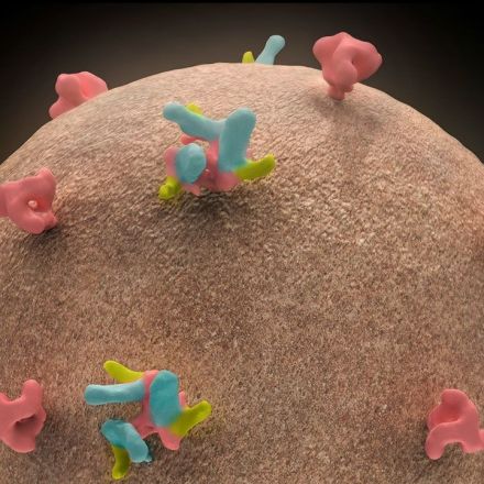 Powerful antibodies suppress HIV for months, could simplify treatment