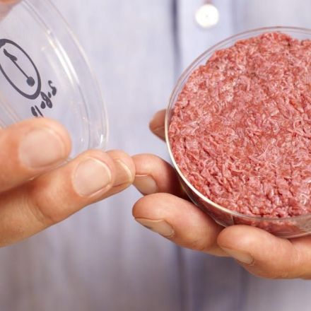 Cultured meat seems gross? It's much better than animal agriculture
