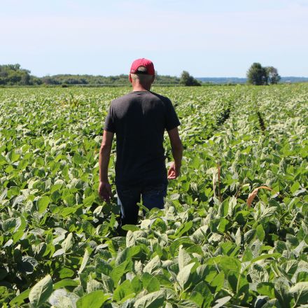 'It never stops': US farmers now face extreme heat wave after floods and trade war