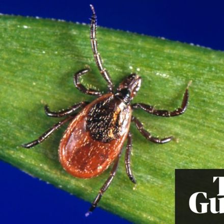 Forget Ebola, Sars and Zika: ticks are the next global health threat