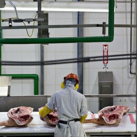 China’s Pig High-Rises Are Horrifying. So Are America’s Factory Farms.