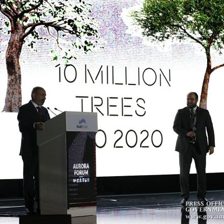 10 million trees symbolizing the unity of 10 million Armenians to be planted in 2020 - Public Radio of Armenia