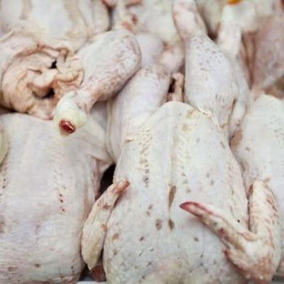 British supermarket chickens show record levels of antibiotic-resistant superbugs