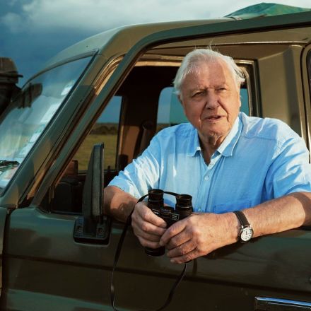'Just don't waste': David Attenborough's heartfelt message to next generation