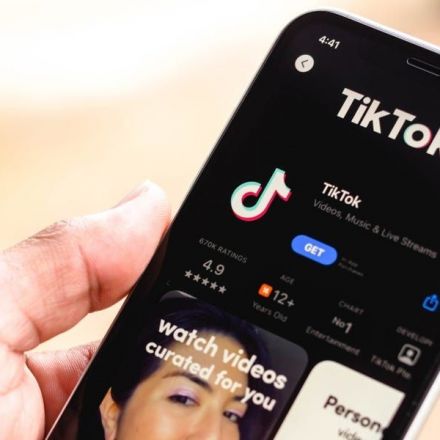 America's best bet for banning TikTok would have terrible side effects
