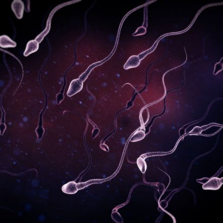 Sperm counts among western men have halved in last 40 years – study