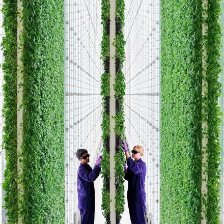 AI controlled vertical farm could solve land crisis