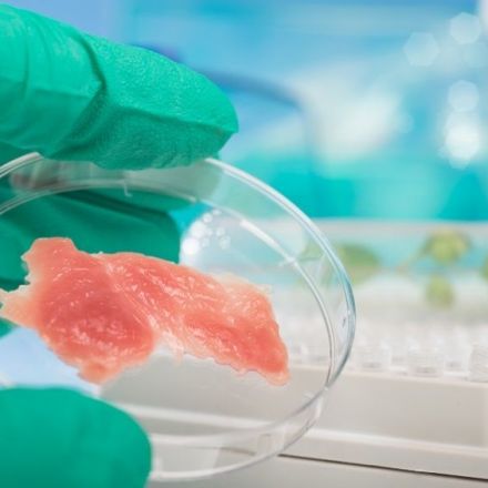 The Illusion of Lab-Grown Meat: Ethical and Environmental Concerns