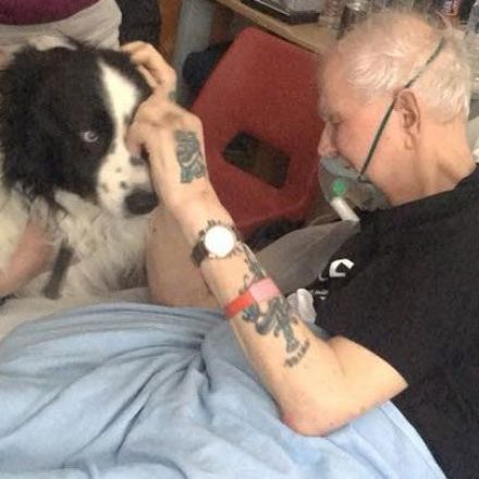 Hospital relaxes rules to let dying man see his dog one last time