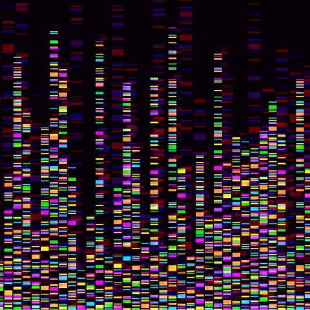 Study identifies 579 genetic locations linked to anti-social behavior, alcohol use, opioid addiction and more