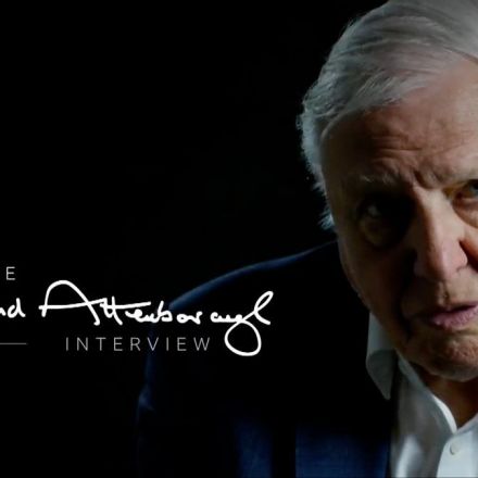 BBC One - Breakfast, "We've overrun the planet" - Sir David Attenborough speaks in an exclusive interview with BBC Breakfast