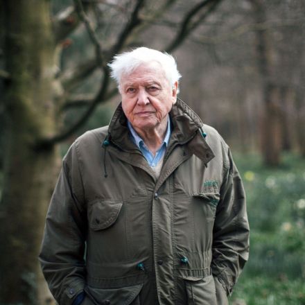 I worked on David Attenborough’s documentary. The grim reality gave me climate anxiety | Liv Grant