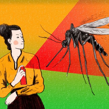 You Asked: Why Do Mosquitoes Always Bite Me?