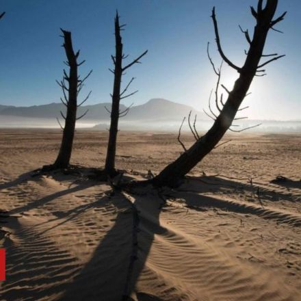 Cape Town drought a 'national disaster'