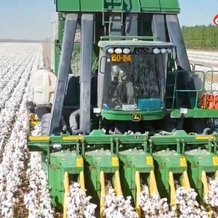 Xinjiang cotton mechanised, not forced labor, says China in propaganda blitz