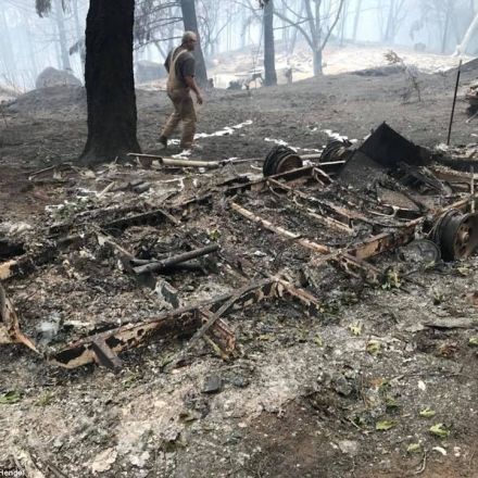 Goat-herding dog refuses to leave flock amid California wildfires