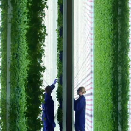 Here's how this futuristic, 95,000-square-foot vertical farm would bring fresh leafy greens and jobs to Compton