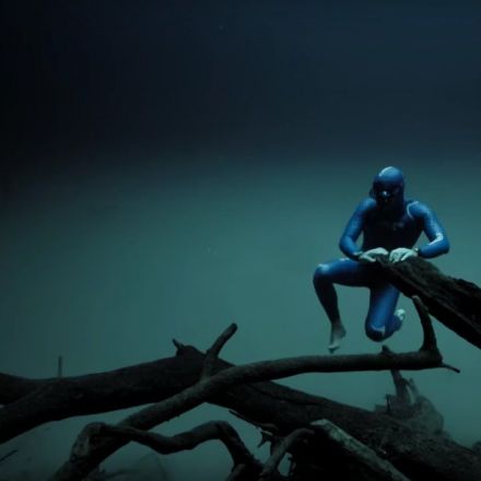 Experience the Underwater World Through the Eyes of a Free Diver